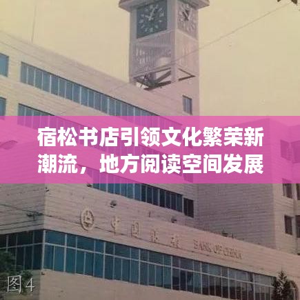 宿松书店引领文化繁荣新潮流,地方阅读空间发展动态重磅报道