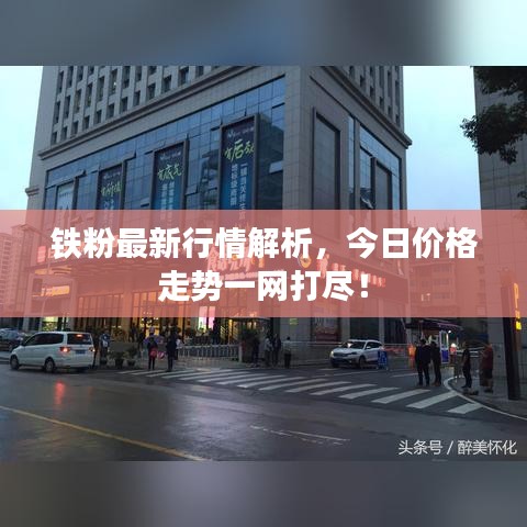 如翚斯飞 第5页