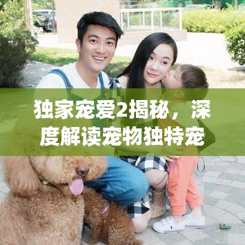 独家宠爱2揭秘,深度解读宠物独特宠爱与情感纽带背后的故事