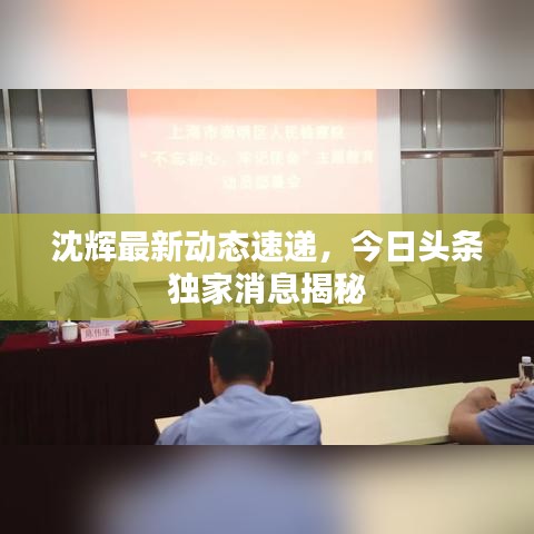 沈辉最新动态速递,今日头条独家消息揭秘