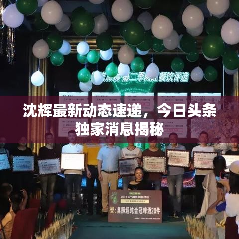 沈辉最新动态速递,今日头条独家消息揭秘