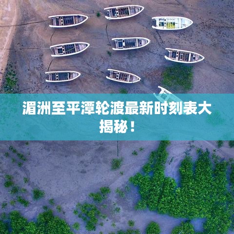 鸟语蝉鸣 第6页