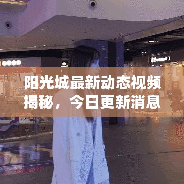 阳光城最新动态视频揭秘，今日更新消息速递！