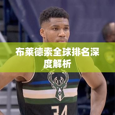 布莱德索全球排名深度解析