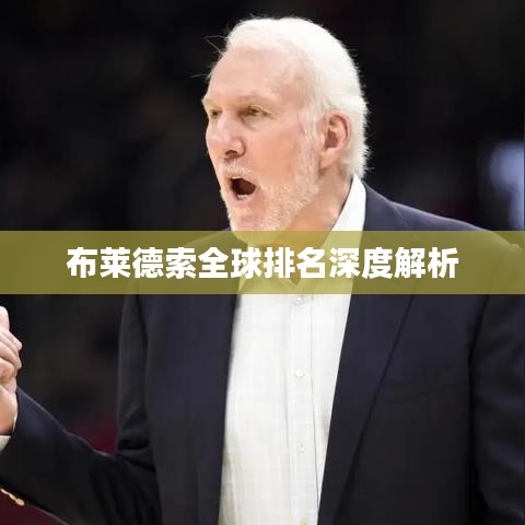 布莱德索全球排名深度解析