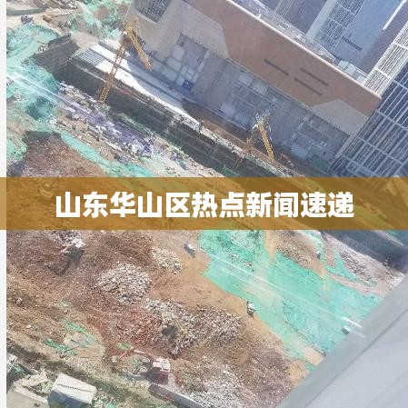 山东华山区热点新闻速递