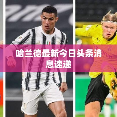 哈兰德最新今日头条消息速递