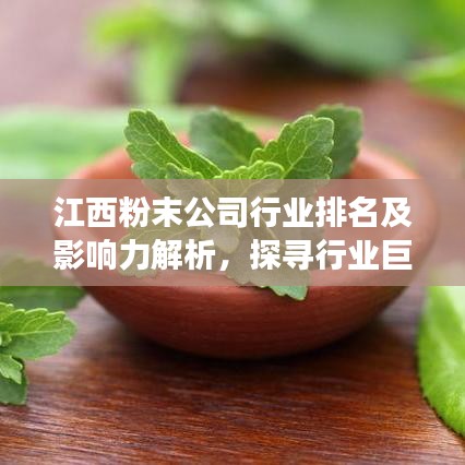 江西粉末公司行业排名及影响力解析,探寻行业巨头,揭秘市场地位!