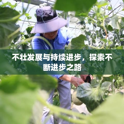 不壮发展与持续进步,探索不断进步之路