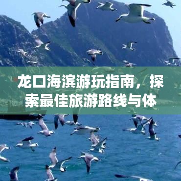 龙口海滨游玩指南,探索最佳旅游路线与体验绝美风光!