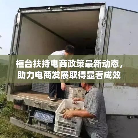 桓台扶持电商政策最新动态,助力电商发展取得显著成效