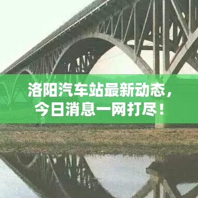 洛阳汽车站最新动态，今日消息一网打尽！