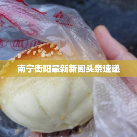 南宁衡阳最新新闻头条速递