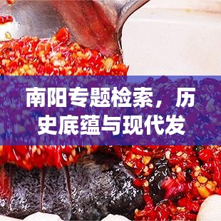 南阳专题检索,历史底蕴与现代发展的完美融合