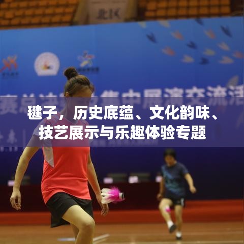 毽子，历史底蕴、文化韵味、技艺展示与乐趣体验专题