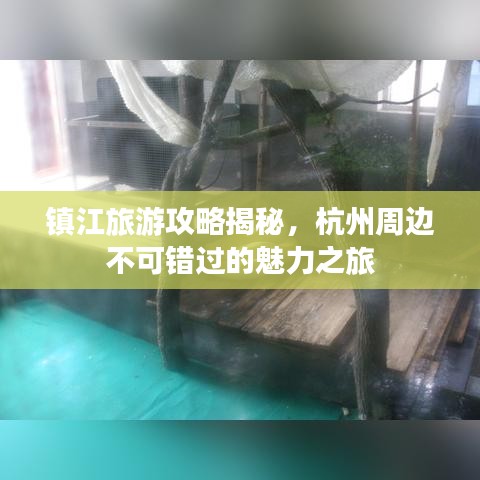 镇江旅游攻略揭秘,杭州周边不可错过的魅力之旅