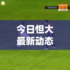 今日怛大最新动态速递