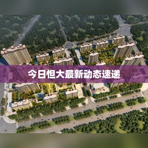 今日怛大最新动态速递