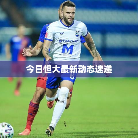 今日怛大最新动态速递