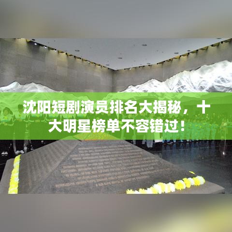 沈阳短剧演员排名大揭秘,十大明星榜单不容错过!