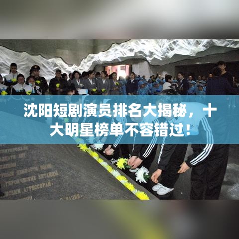 沈阳短剧演员排名大揭秘,十大明星榜单不容错过!