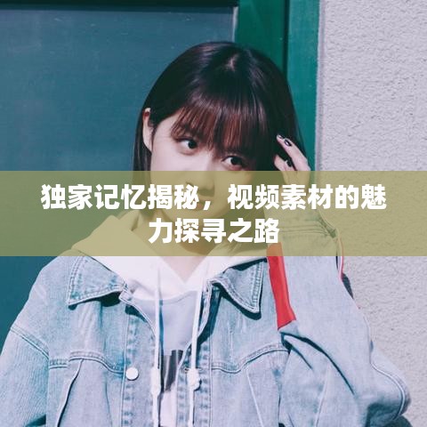 独家记忆揭秘,视频素材的魅力探寻之路