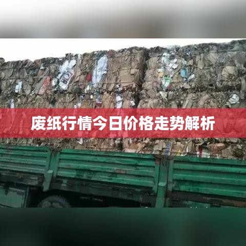 废纸行情今日价格走势解析