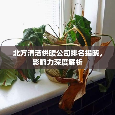 北方清洁供暖公司排名揭晓,影响力深度解析