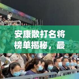 安康散打名将榜单揭秘,最新名单大全