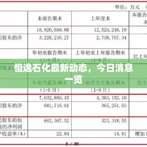 恒逸石化最新动态,今日消息一览