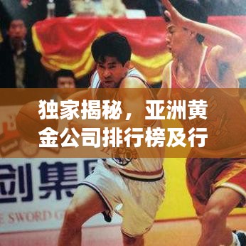 独家揭秘，亚洲黄金公司排行榜及行业深度剖析