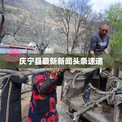 庆宁县最新新闻头条速递