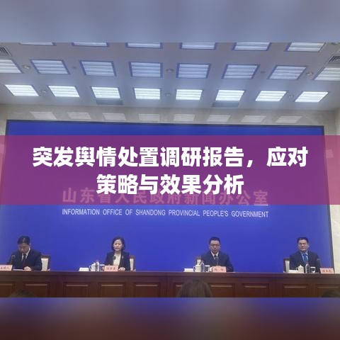 突发舆情处置调研报告，应对策略与效果分析