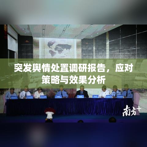 突发舆情处置调研报告,应对策略与效果分析