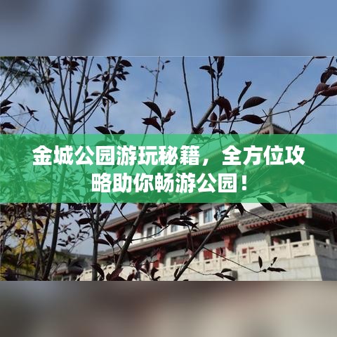 金城公园游玩秘籍,全方位攻略助你畅游公园!