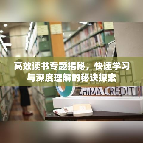 高效读书专题揭秘，快速学习与深度理解的秘诀探索
