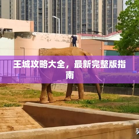 王城攻略大全,最新完整版指南