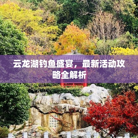 云龙湖钓鱼盛宴,最新活动攻略全解析
