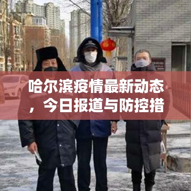 哈尔滨疫情最新动态，今日报道与防控措施概述