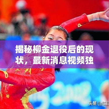 揭秘柳金退役后的现状，最新消息视频独家曝光！