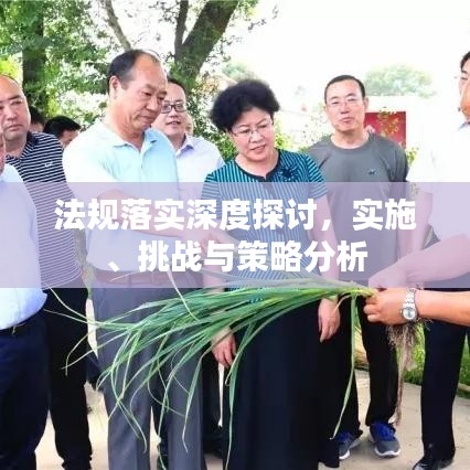 冰肌玉骨 第5页