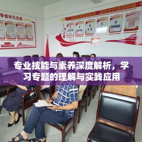 专业技能与素养深度解析,学习专题的理解与实践应用