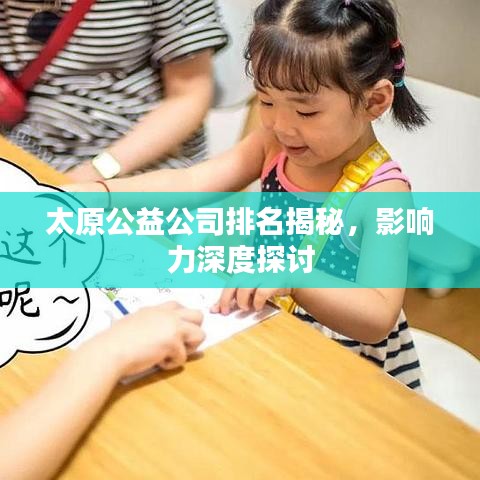 太原公益公司排名揭秘,影响力深度探讨