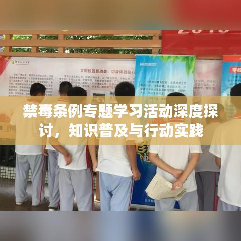 禁毒条例专题学习活动深度探讨,知识普及与行动实践