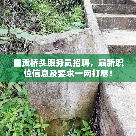 自贡桥头服务员招聘,最新职位信息及要求一网打尽!