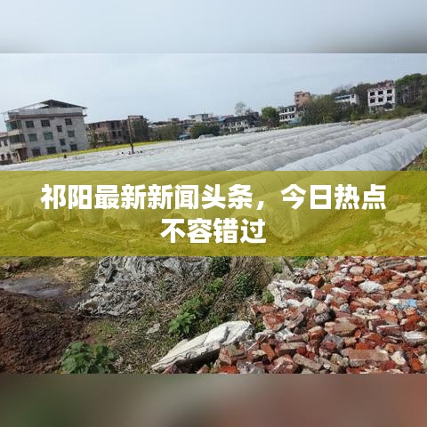 祁阳最新新闻头条,今日热点不容错过