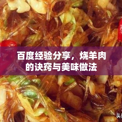 百度经验分享,烧羊肉的诀窍与美味做法