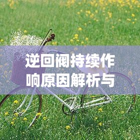 逆回阀持续作响原因解析与解决方案探讨