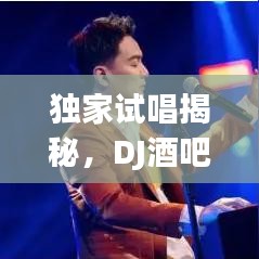 独家试唱揭秘,DJ酒吧的音乐盛宴与独特魅力体验