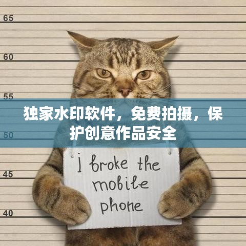 独家水印软件，免费拍摄，保护创意作品安全